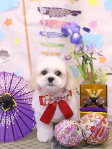 20240518ふくくん　